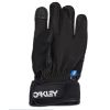 Snowboard Gloves Oakley FACTORY WINTER GLOVES 2.0
